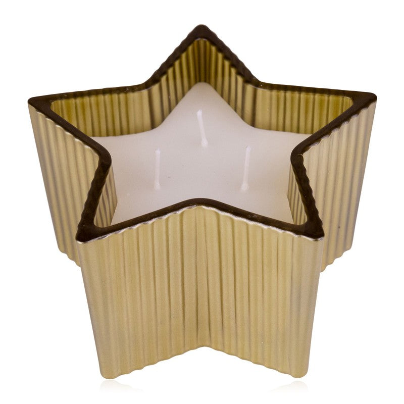 Gold star |Winter magic