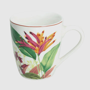 Tropicallia